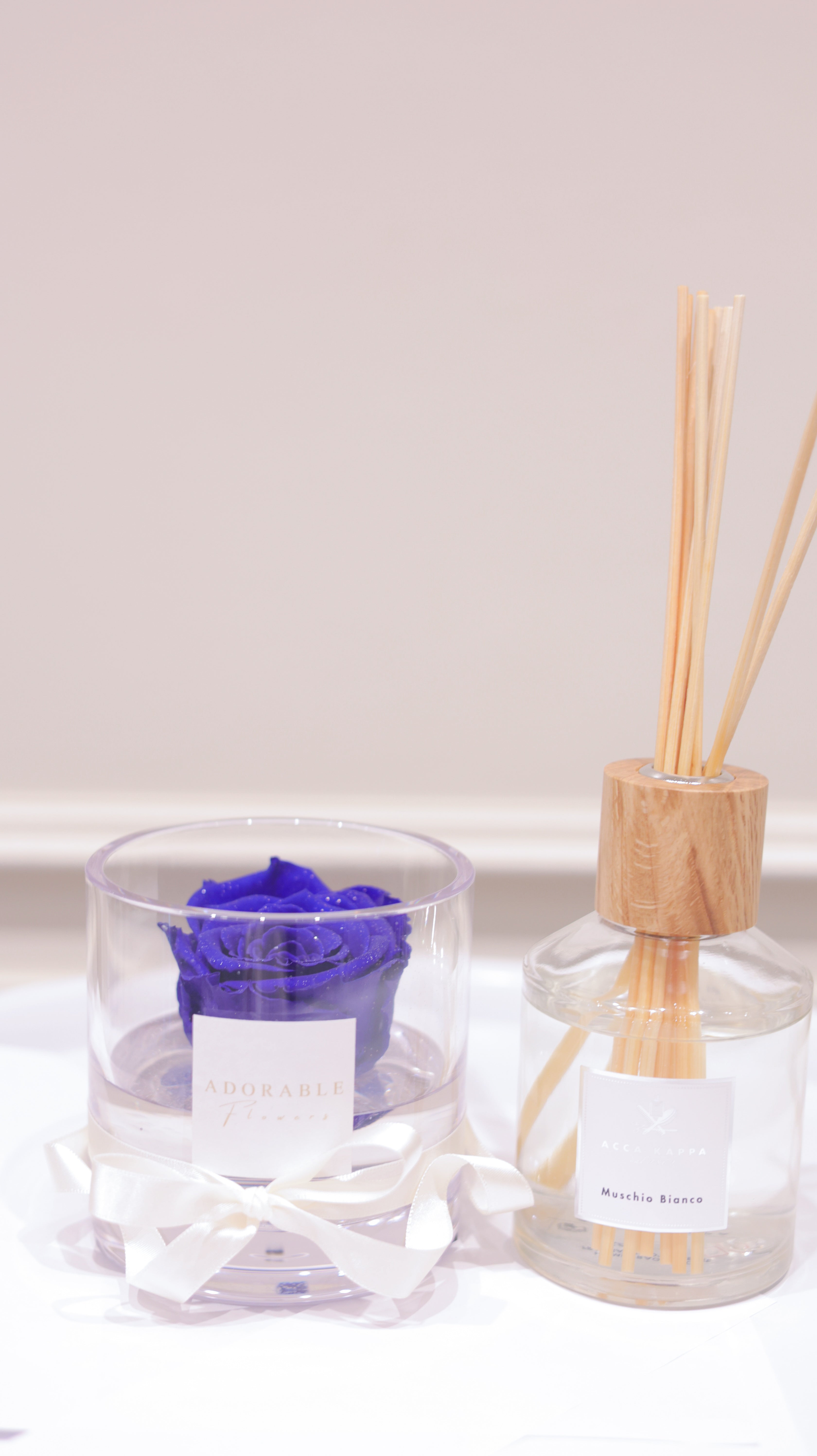 CREA Champagne  Grand Bleu（グランブルー） M