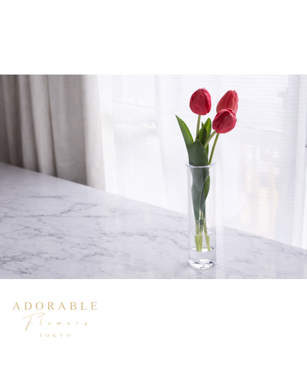 Dewdrop Tulip Series｜アーティフィシャルフラワー　チューリップ（固まる水）