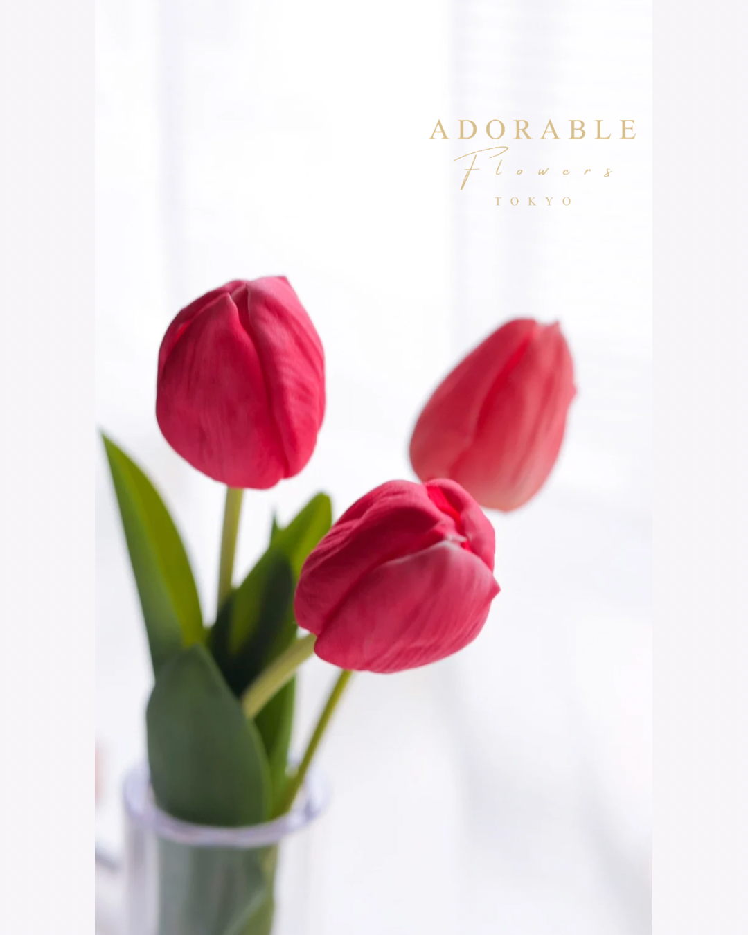 Dewdrop Tulip Series｜アーティフィシャルフラワー　チューリップ（固まる水）