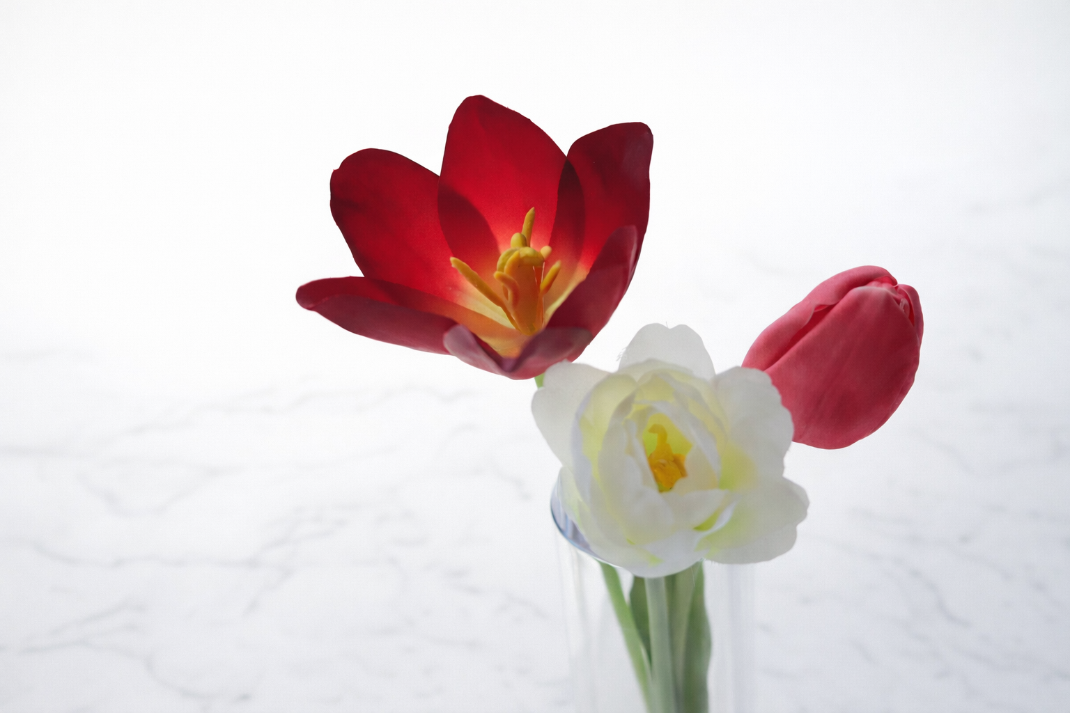 Dewdrop Tulip Series｜アーティフィシャルフラワー　チューリップ（固まる水）