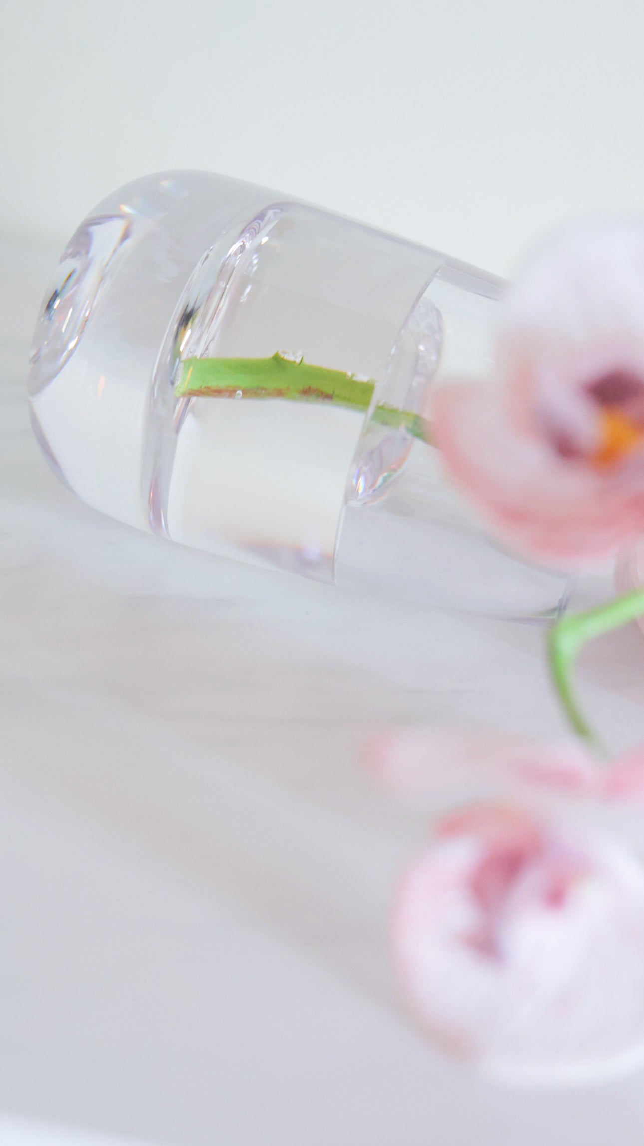 DEWDROPシリーズ BRUSH（ブラッシュ）
胡蝶蘭 ファレノプシス（ピンク）