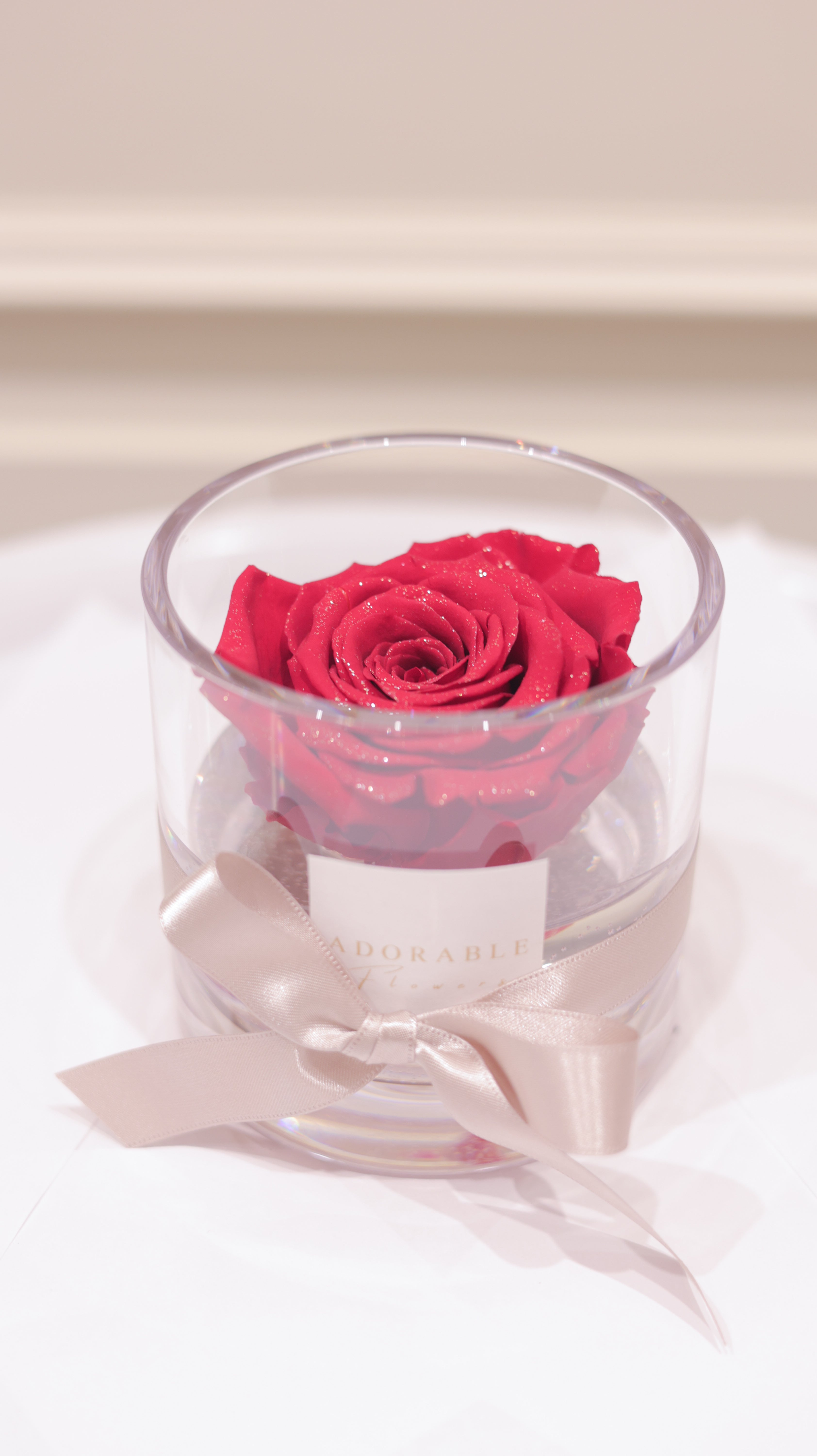 CREA Champagne　Rouge Élégant（ルージュ　エレガン）M