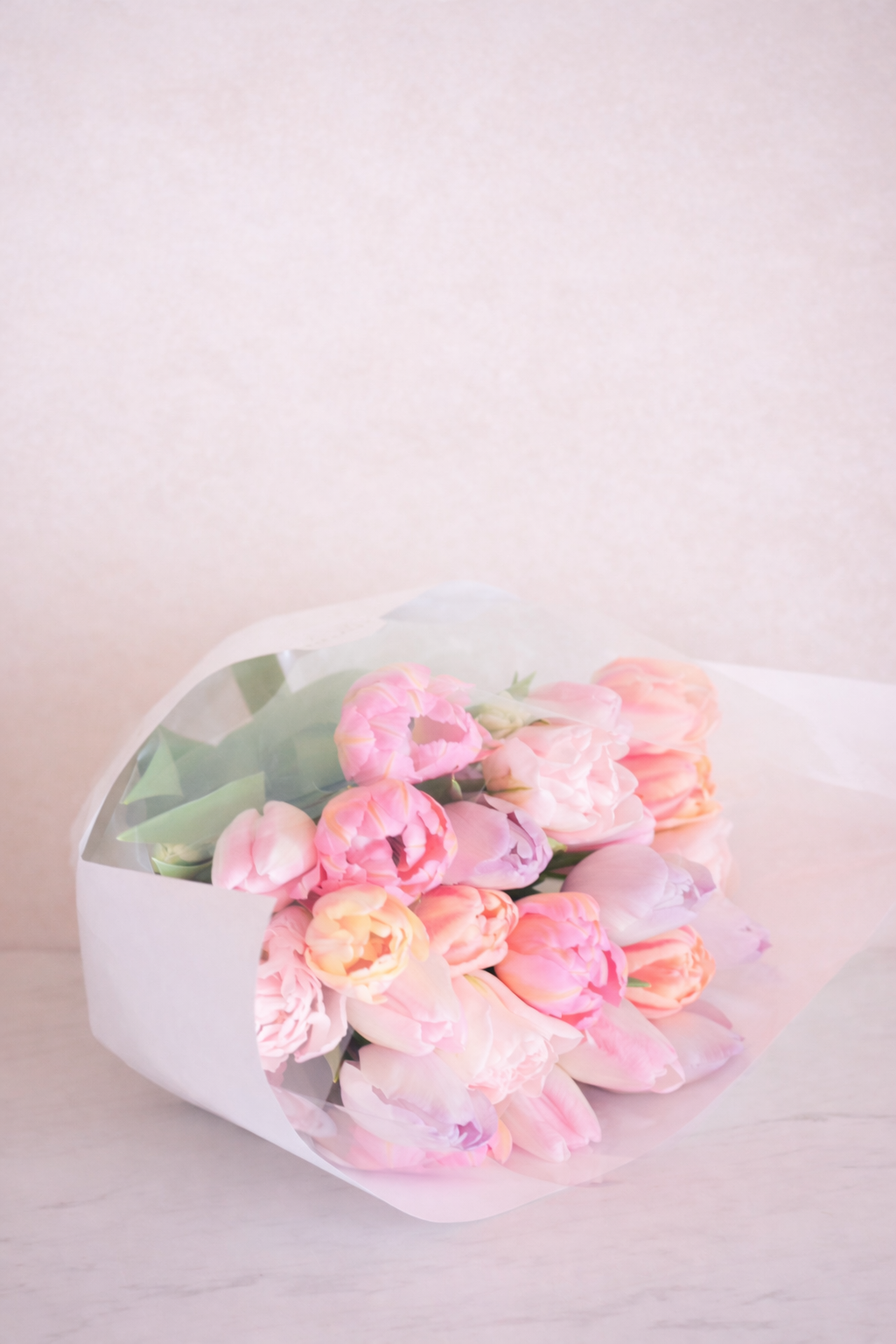 【3月中旬まで】Tulip Delivery-Adorable select｜今だけのチューリップ便