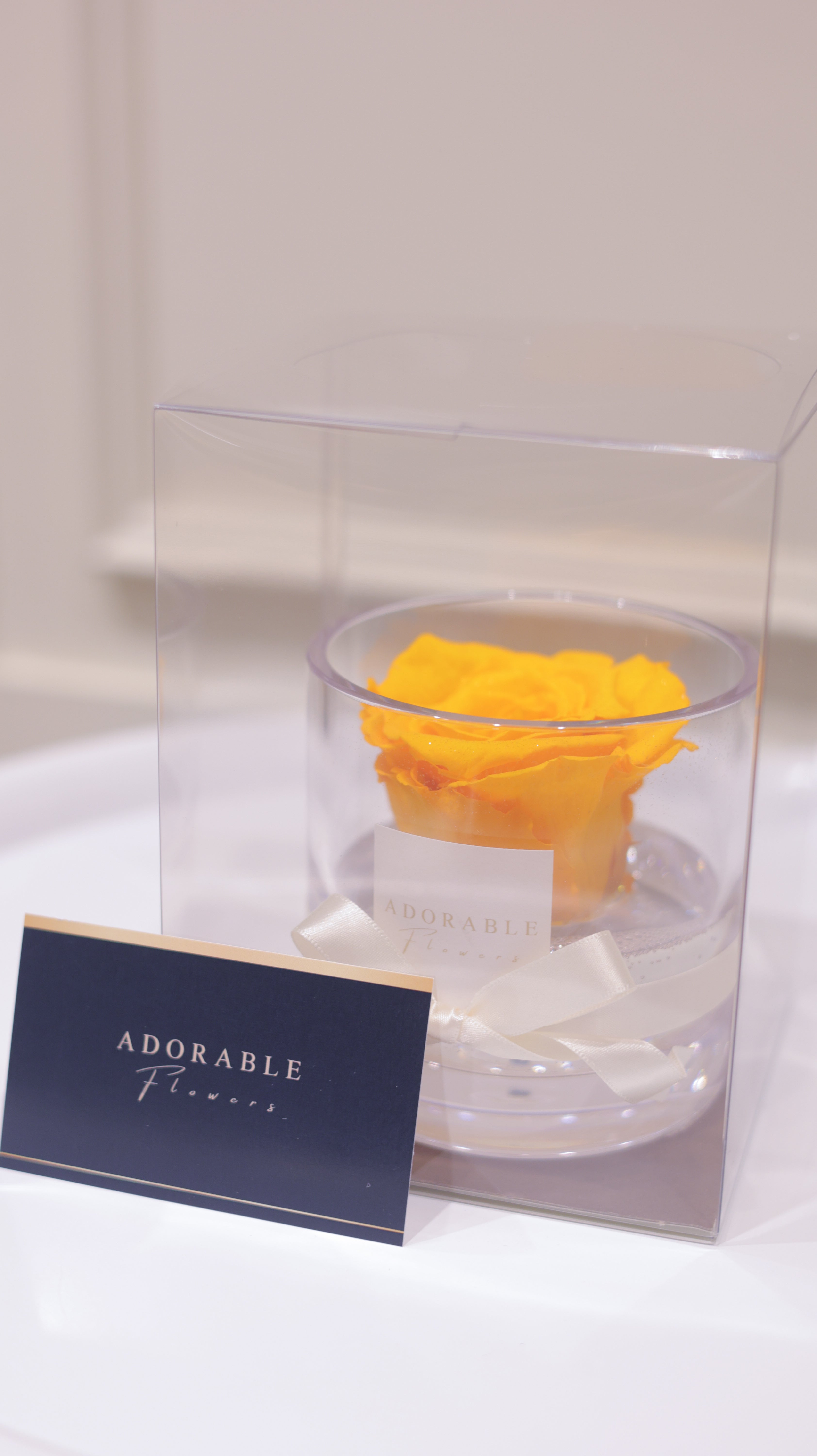 CREA Champagne  Citrine Noble（シトリン・ノーブル） M