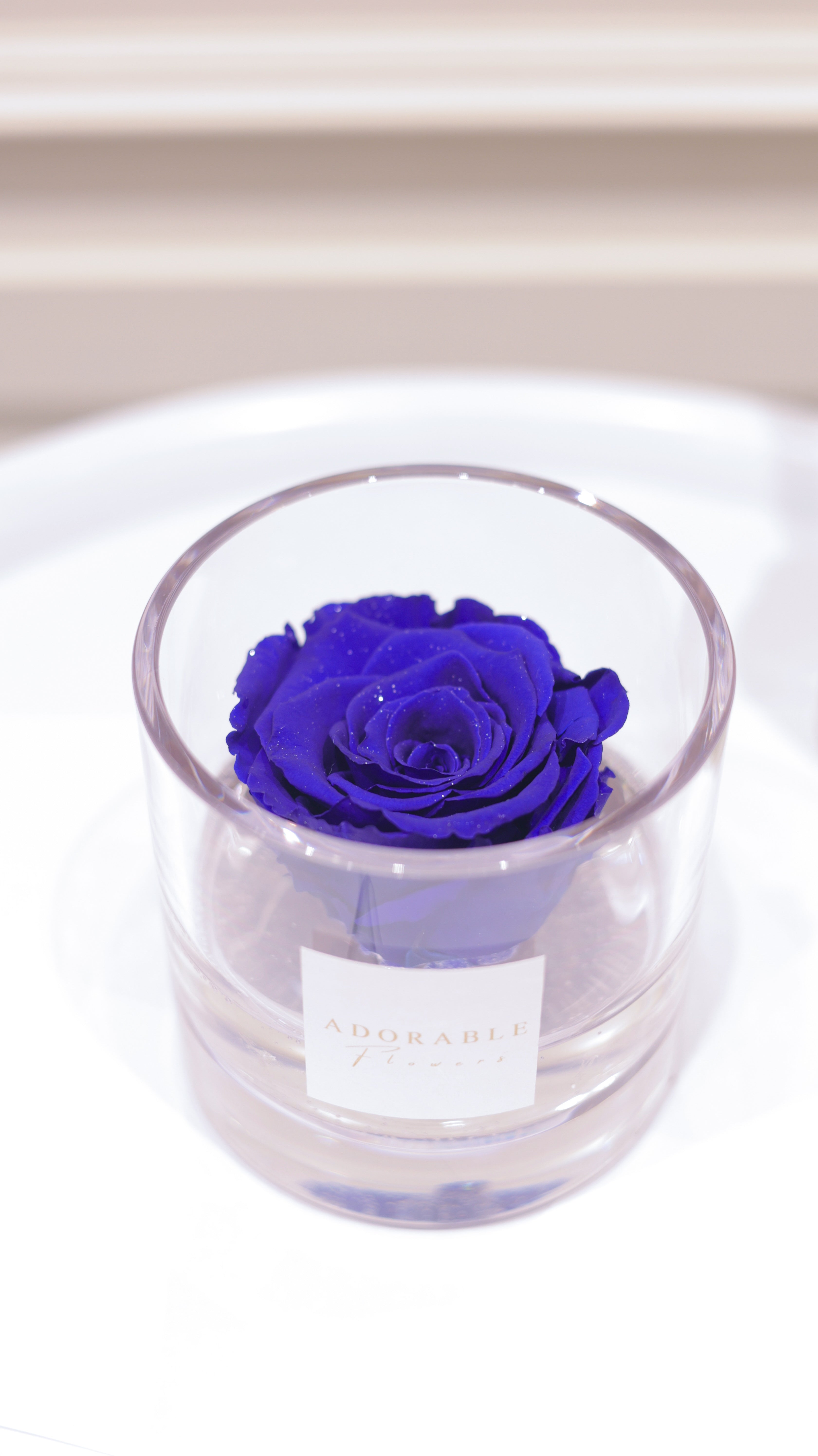 CREA Champagne  Grand Bleu（グランブルー） M