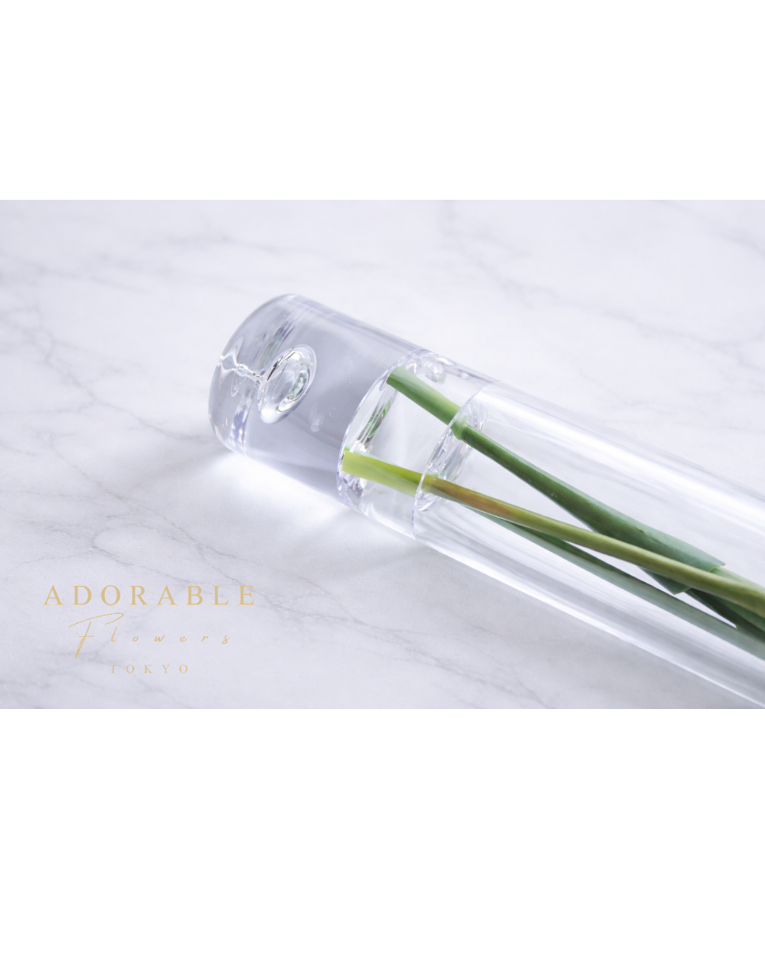 Dewdrop Tulip Series｜アーティフィシャルフラワー　チューリップ（固まる水）