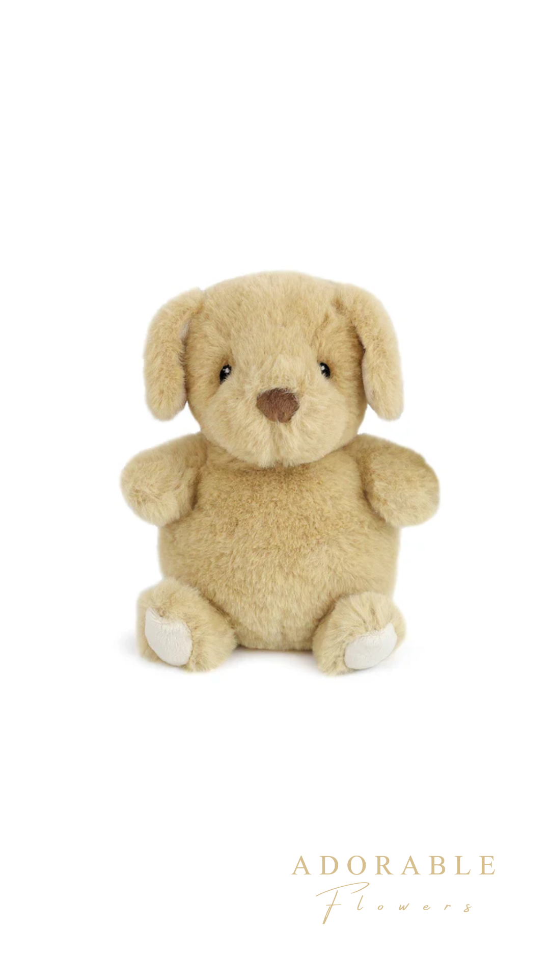 【MON AMI】ジェイク パピー