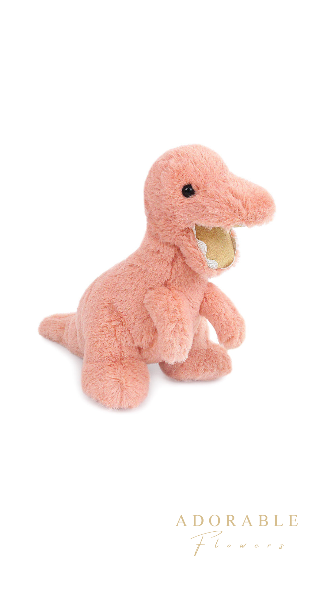 【MON AMI】スー ティラノサウルス